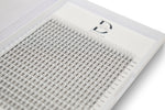 10D Mega Lash Tray D Curl